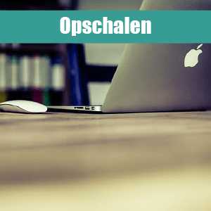 Goedbedoelde adviezen negeren Businesscoach, ondernemerscoach en goed verdienen